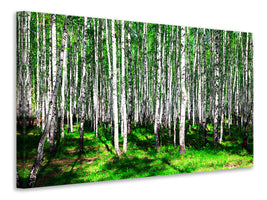 panoramic-3-piece-canvas-print-summerly-birch-forest