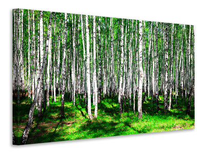 5-piece-canvas-print-summerly-birch-forest