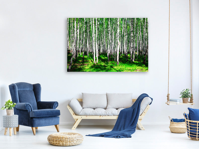panoramic-3-piece-canvas-print-summerly-birch-forest