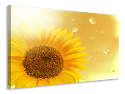4-piece-canvas-print-sunflower-in-morning-dew