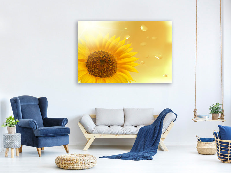 5-piece-canvas-print-sunflower-in-morning-dew