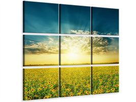 canvas-print-sunflowers-in-the-evening-sun