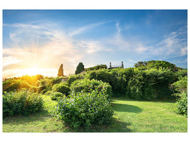 modern-4-piece-canvas-print-sunrise-in-the-park