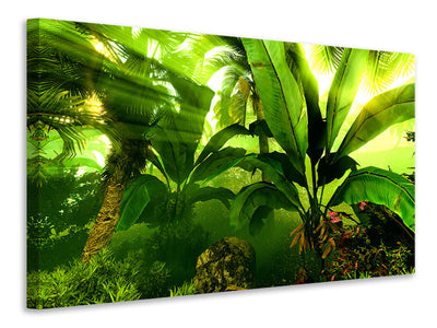 panoramic-canvas-print-sunrise-in-the-rainforest