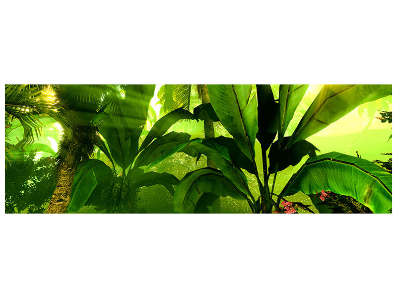 panoramic-3-piece-canvas-print-sunrise-in-the-rainforest
