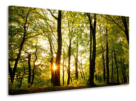 5-piece-canvas-print-sunset-between-trees