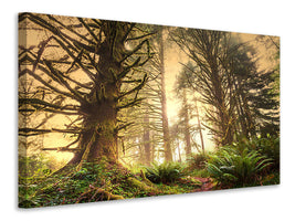 5-piece-canvas-print-sunset-in-jungle