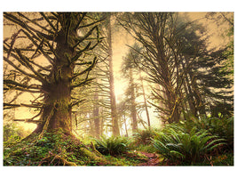 5-piece-canvas-print-sunset-in-jungle