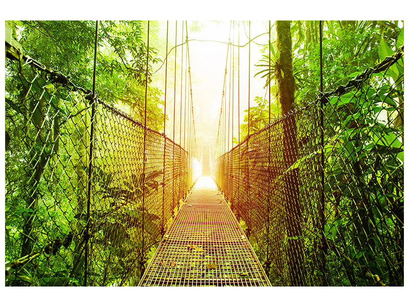 panoramic-canvas-print-suspension-bridge