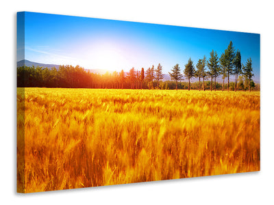 3-piece-canvas-print-the-autumn