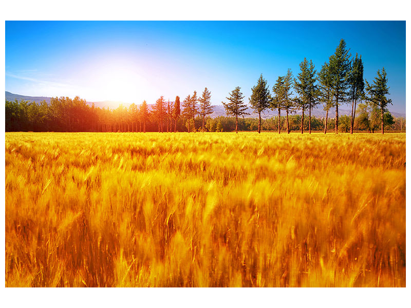4-piece-canvas-print-the-autumn