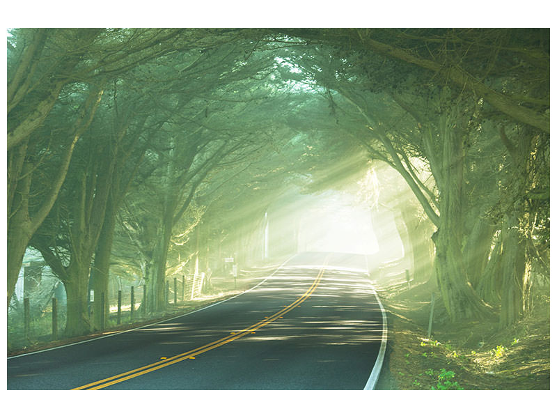 modern-4-piece-canvas-print-the-avenue