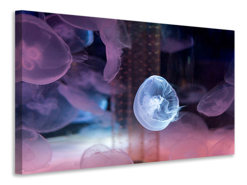 5-piece-canvas-print-the-beauty-of-jellyfish
