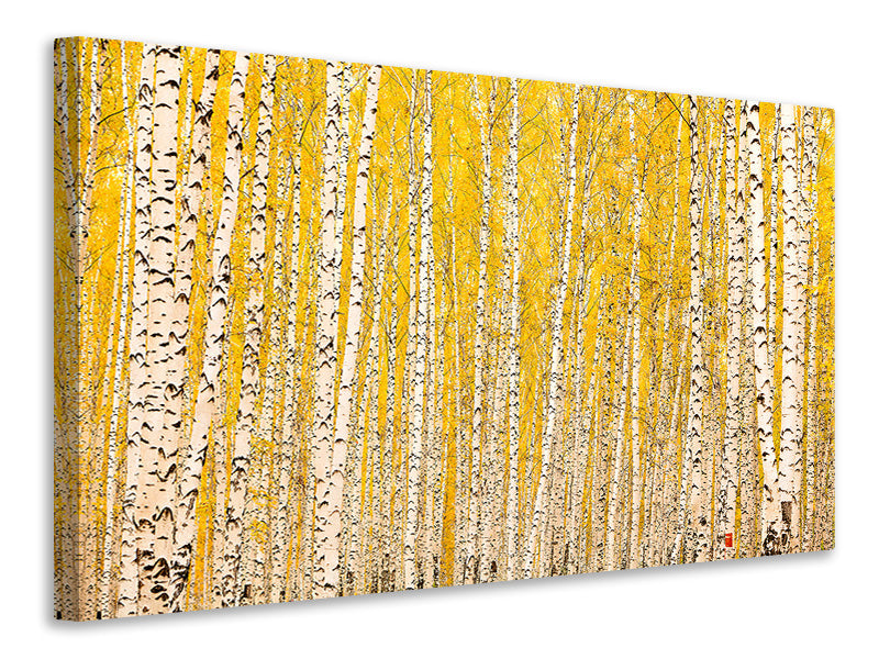 4-piece-canvas-print-the-birch-forest-in-autumn
