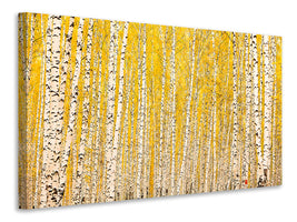 modern-4-piece-canvas-print-the-birch-forest-in-autumn
