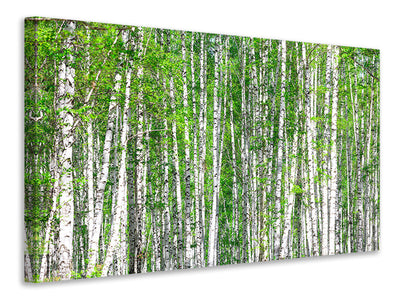 3-piece-canvas-print-the-birch-forest