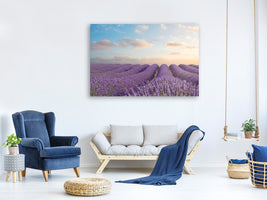 panoramic-canvas-print-the-blooming-lavender-field