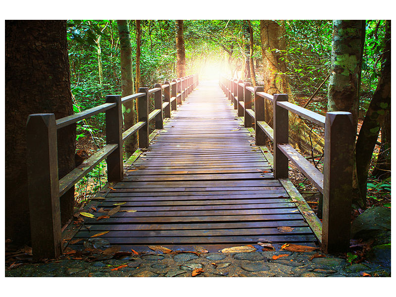 modern-4-piece-canvas-print-the-bridge-in-the-forest