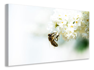 5-piece-canvas-print-the-bumblebee-and-the-flower