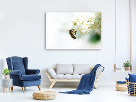 5-piece-canvas-print-the-bumblebee-and-the-flower