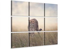 4-piece-canvas-print-the-cheetah