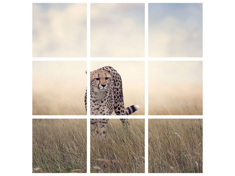 4-piece-canvas-print-the-cheetah