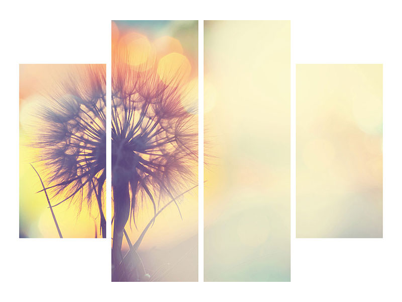 panoramic-canvas-print-the-dandelion-in-the-light