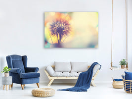 4-piece-canvas-print-the-dandelion-in-the-light