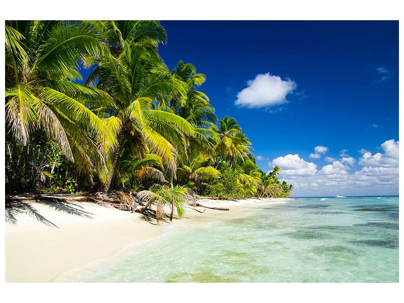 panoramic-3-piece-canvas-print-the-deserted-island