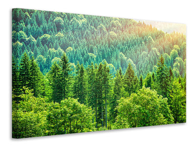 modern-3-piece-canvas-print-the-forest-hill
