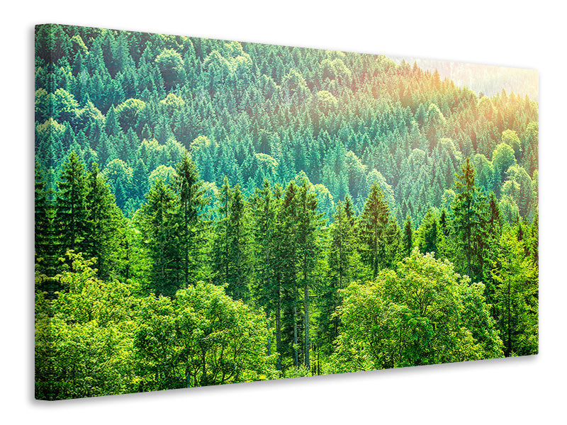 5-piece-canvas-print-the-forest-hill
