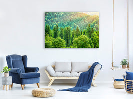 5-piece-canvas-print-the-forest-hill