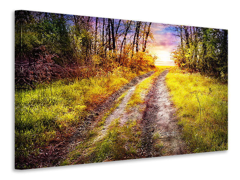 modern-4-piece-canvas-print-the-forest-path