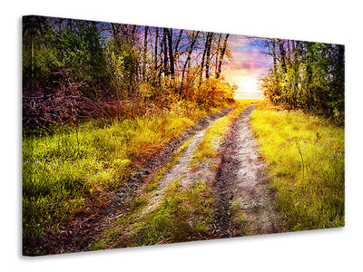 4-piece-canvas-print-the-forest-path