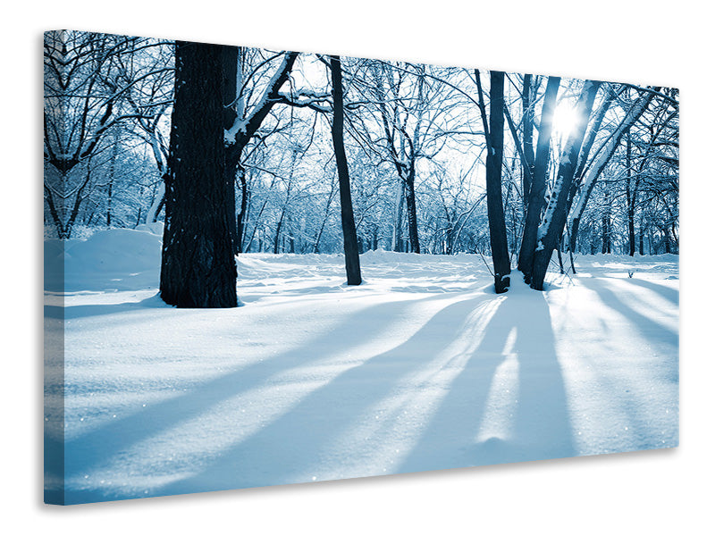 5-piece-canvas-print-the-forest-without-tracks-in-the-snow