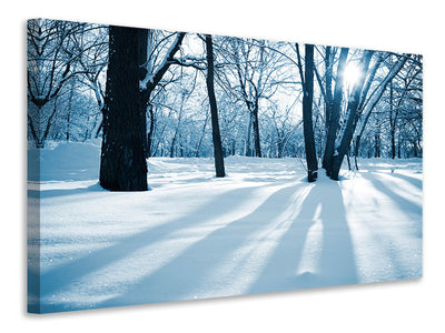 4-piece-canvas-print-the-forest-without-tracks-in-the-snow