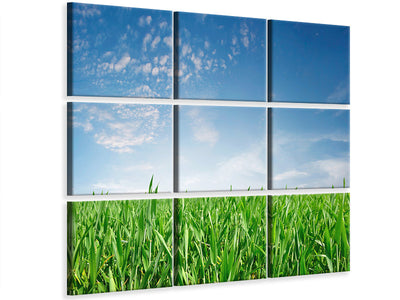 canvas-print-the-grass