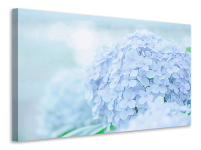 5-piece-canvas-print-the-hydrangea