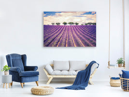 4-piece-canvas-print-the-lavender-field-ii