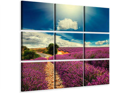 canvas-print-the-lavender-valley