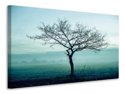 modern-4-piece-canvas-print-the-magic-tree