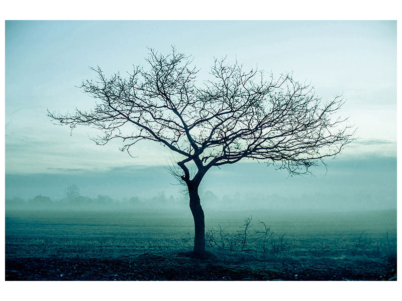 5-piece-canvas-print-the-magic-tree