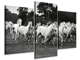 5-piece-canvas-print-the-mustang-herd