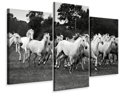5-piece-canvas-print-the-mustang-herd