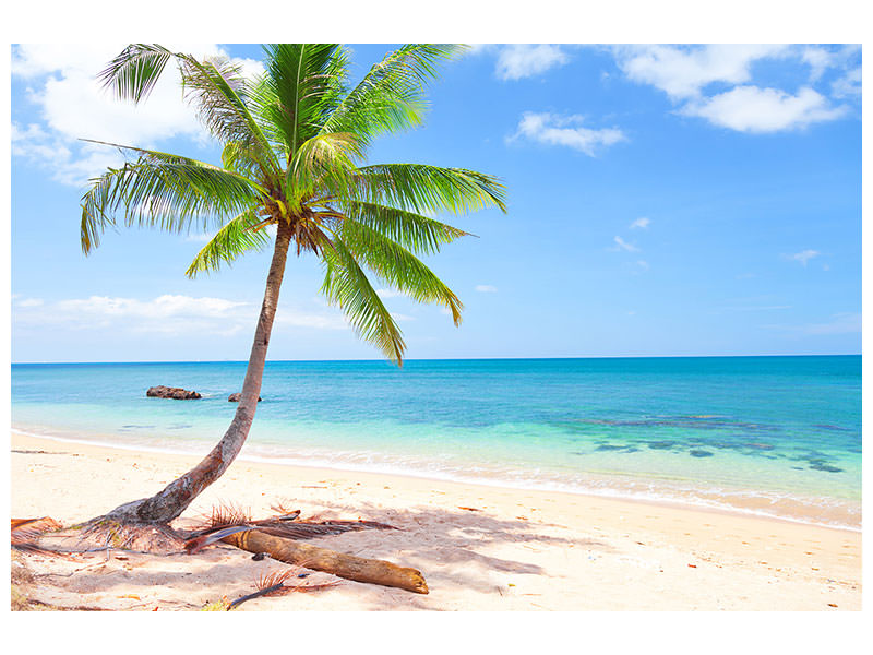 modern-4-piece-canvas-print-the-own-island