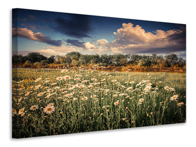 modern-3-piece-canvas-print-the-ox-on-the-river