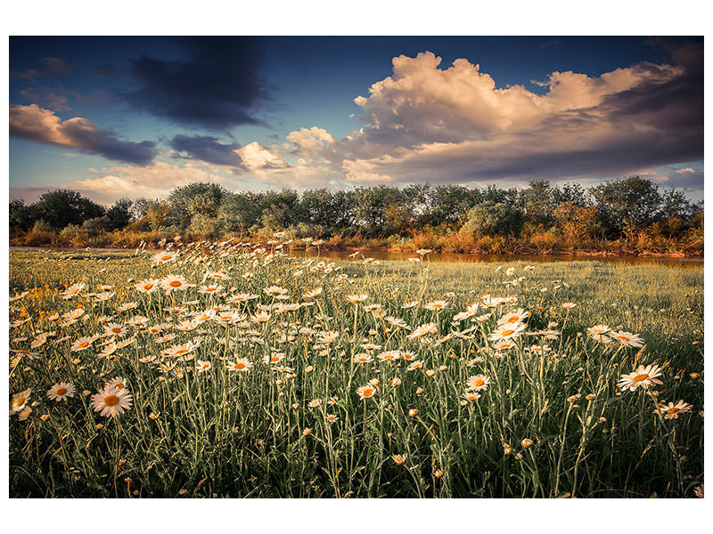 4-piece-canvas-print-the-ox-on-the-river