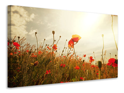 modern-4-piece-canvas-print-the-poppy-field-at-sunrise