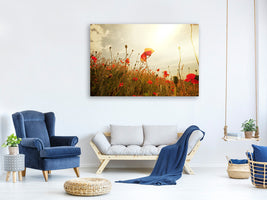 5-piece-canvas-print-the-poppy-field-at-sunrise