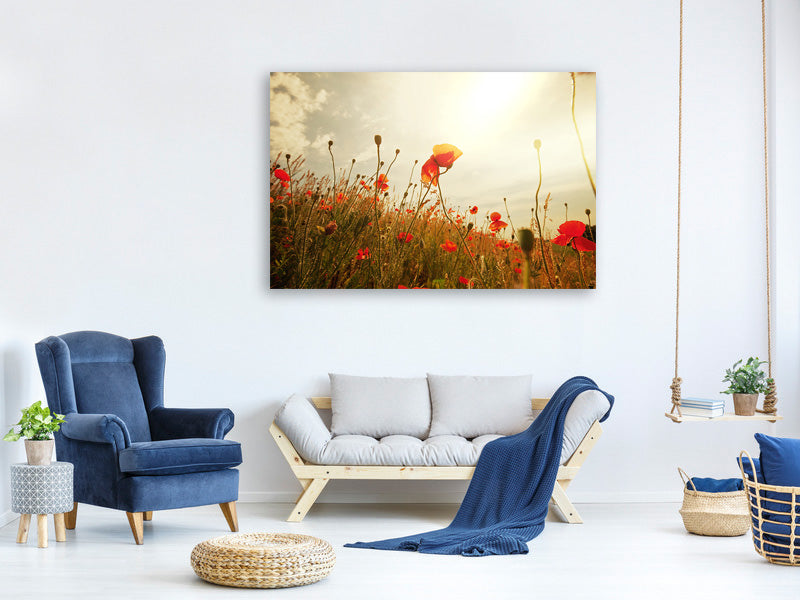 modern-4-piece-canvas-print-the-poppy-field-at-sunrise